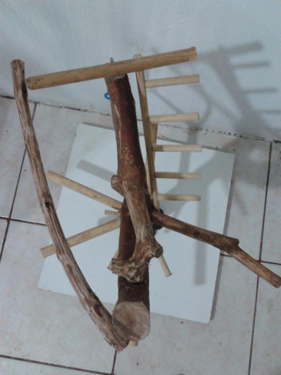 2015-07-03 15.05.21.jpg