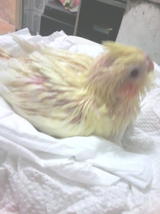 2015-07-06 09.18.57.jpg