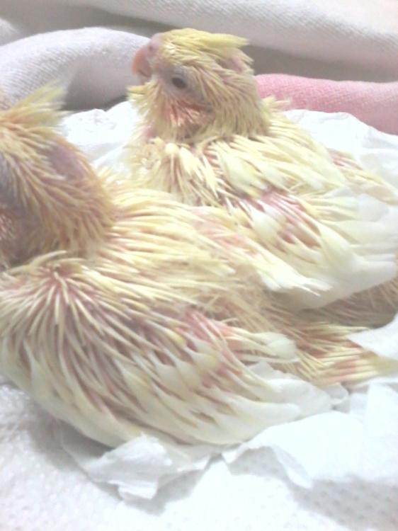 2015-07-06 09.23.10.jpg