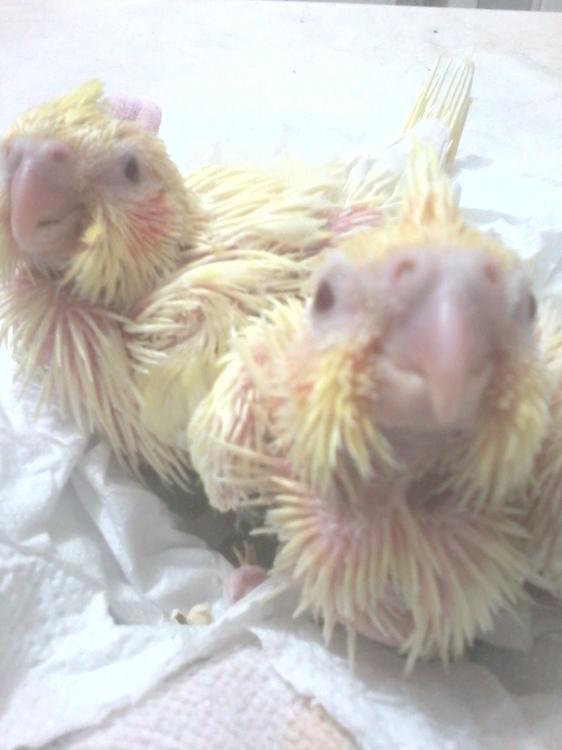 2015-07-06 09.23.29.jpg