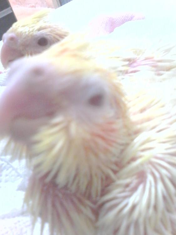 2015-07-06 09.23.38.jpg