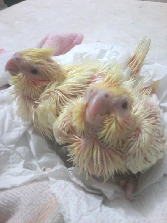 2015-07-06 09.24.12.jpg