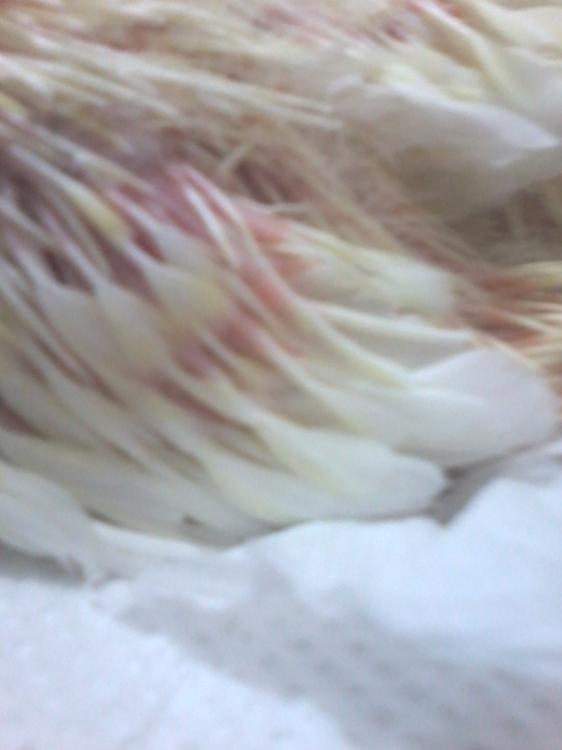 2015-07-06 09.24.30.jpg