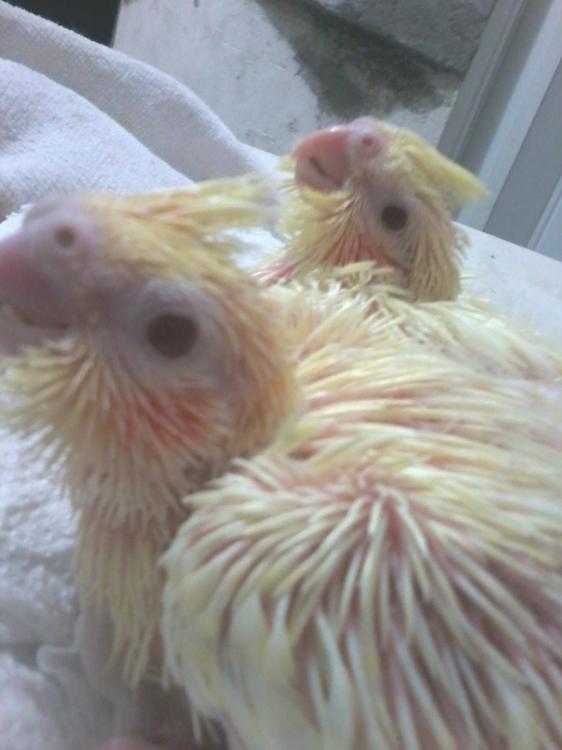 2015-07-06 09.24.42.jpg