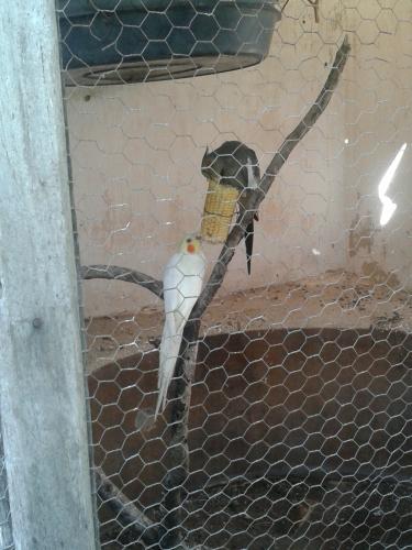 20150421_084136.thumb.jpg.33041c0ce33fdb