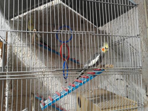 20150504_140353.thumb.jpg.0b3563f327b657