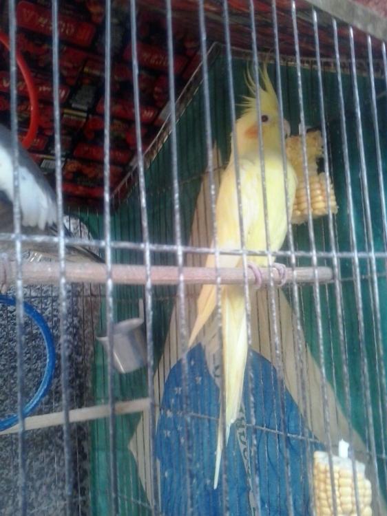 20150714130950 (1).jpg