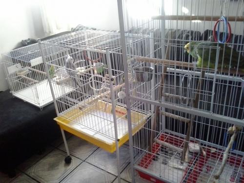 20150720_094009.thumb.jpg.677727d254cc67