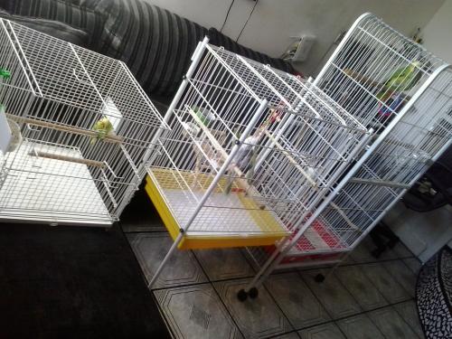 20150720_094939.thumb.jpg.e550b081d0ea33