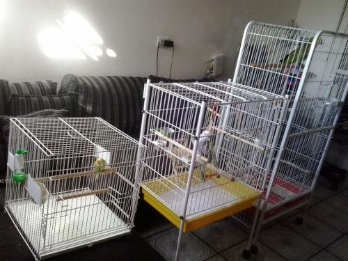 20150720_095013.thumb.jpg.dfda4ee810a12e