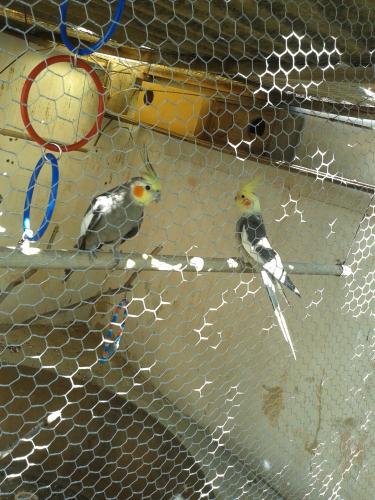 20150724_131457.thumb.jpg.71dd7adc245c82