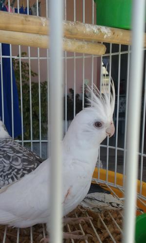 20150726_105159.thumb.jpg.8bf94d1ee91583