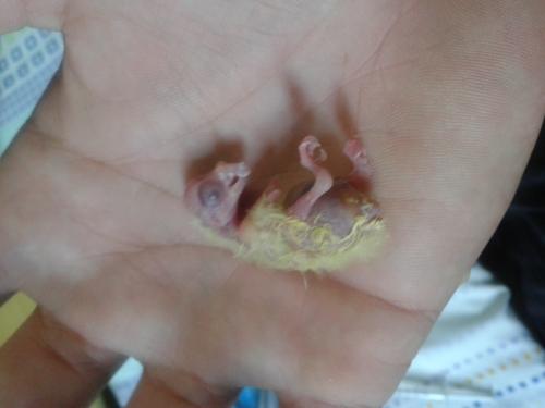 20150730_094736.thumb.jpg.252710db612a65