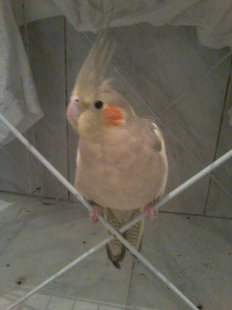 640x480_bestfit (17).jpg