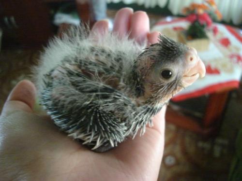 DSC00366.thumb.jpg.448bafc59bccb462426a8