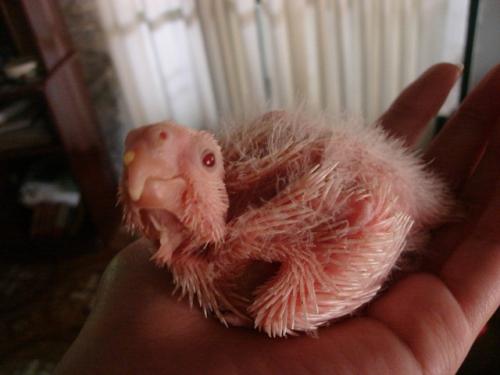 DSC00372.thumb.jpg.221f93c0d7e7898478c5d