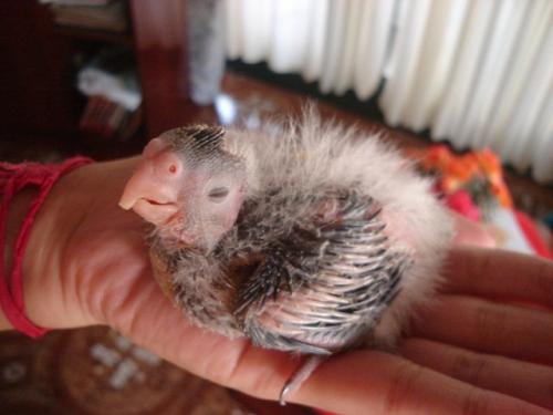 DSC00375.thumb.jpg.095396933df27de005947