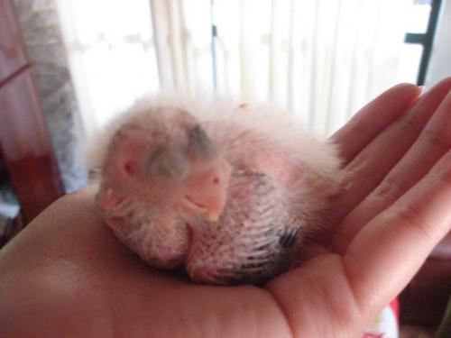 DSC00381.thumb.jpg.f0531caab0ea363a21c53