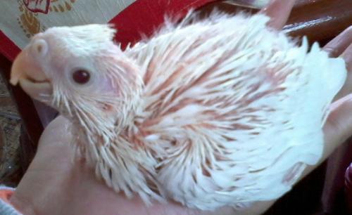 Foto-0559.thumb.jpg.d7d68ab942e67006018b