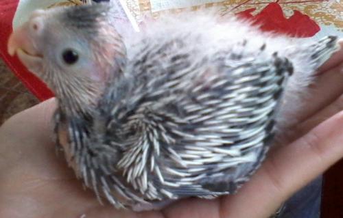 Foto-0568.thumb.jpg.2760e5e16d9c9f5cb421