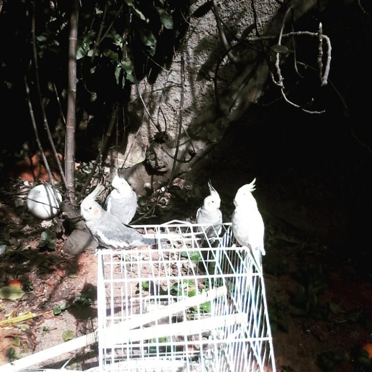 IMG_20150606_115357.thumb.jpg.6b82d81812