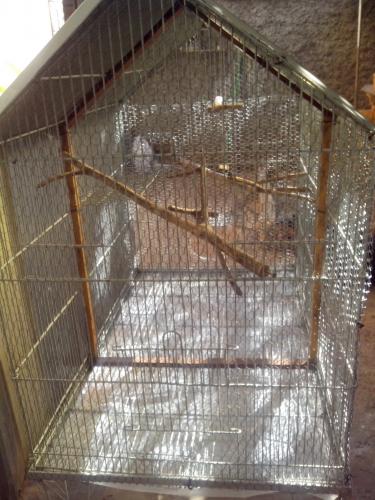 IMG_20150623_142641.thumb.jpg.0f77d42264