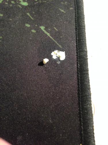 IMG_4739.thumb.JPG.f5592a1b10b06339959af