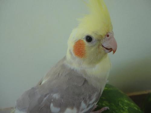 Neymar.thumb.jpg.f42d13f0041063336cb3c31