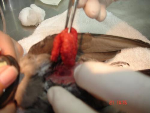 OgAAAG7PwfqZqHs0Exo2jTeot8iE2JRPs6Wp814T