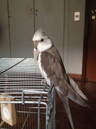 Untitled-2.thumb.jpg.35de47e5885ed962fce