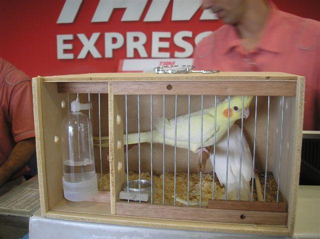 gaiola pra transporte aereo.jpg