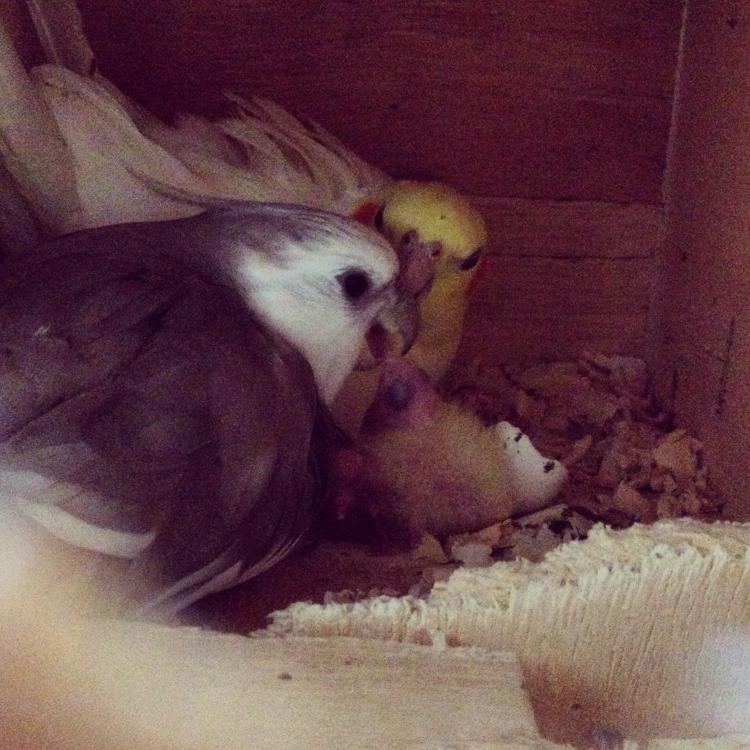 iphone_pics_leva_3_1004.thumb.JPG.e129a0