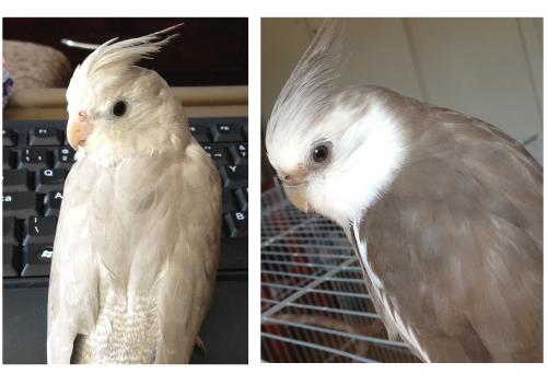 lalalala.thumb.jpg.659e9566286ca0e2bf1b2