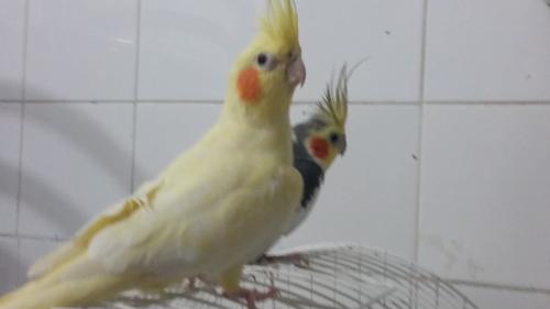 mia e jack 28072015.jpg