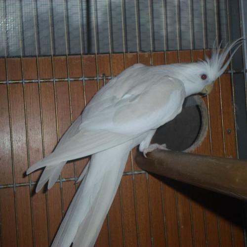 11053282_1577061082548991_30480447744426