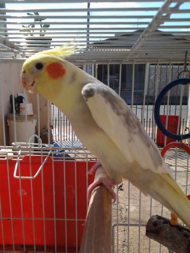 20150731_135312.thumb.jpg.d586cfe7b92caf