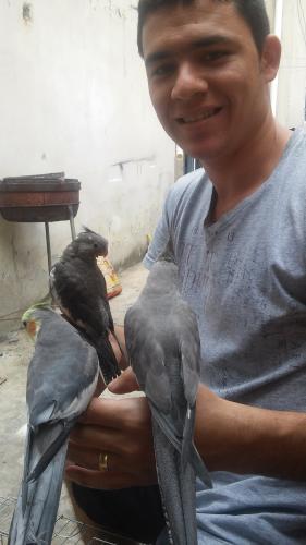 20150802_135811.thumb.jpg.941d76270637d3