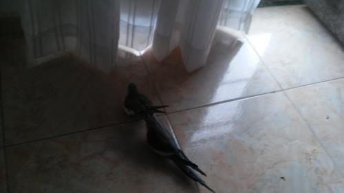 20150818_073557.thumb.jpg.b64b34700b9e24