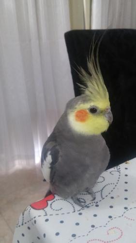 20150821_071901.thumb.jpg.6e081ad26077e2