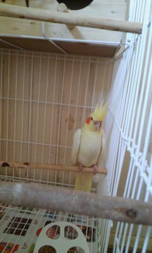 20150829_114626.thumb.jpg.f7a94f8a953c09