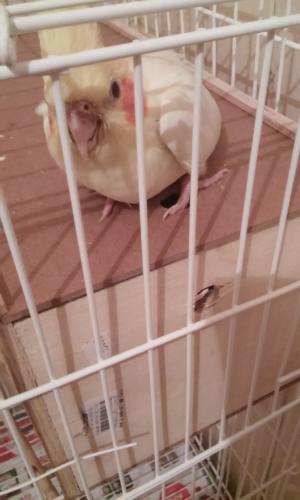 20150829_183417.thumb.jpg.203fe13eadd5bd