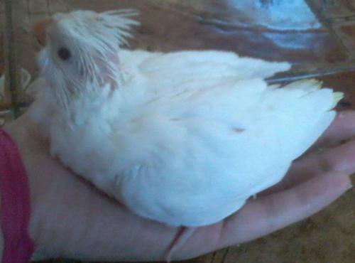 Foto-0623.thumb.jpg.afa0c570c10e36f24136