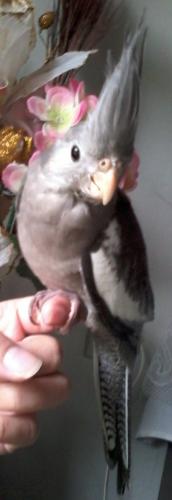 Foto-0730.thumb.jpg.b9257f19492e1a66902d