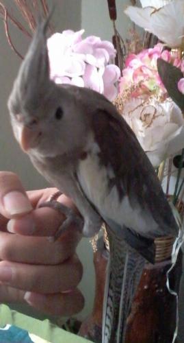 Foto-0745.thumb.jpg.2170ff8d6109cd8623d4