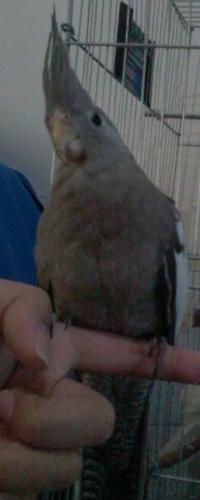 Foto-0824.thumb.jpg.024842bdbf3eb5637395