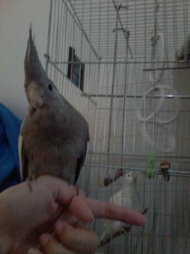 Foto-0825.thumb.jpg.593585723d3f3ae7e45e