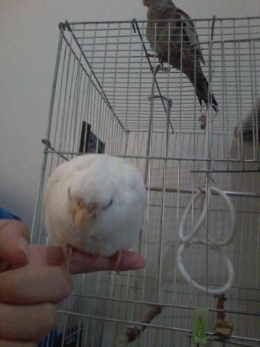 Foto-0826.thumb.jpg.e97e3de2b6e1bbe03a3d