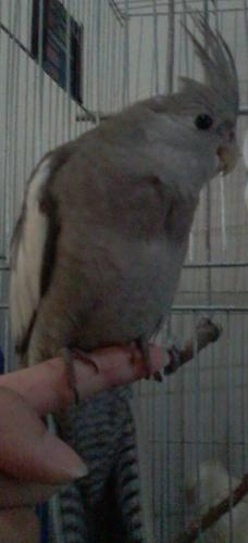 Foto-0836.thumb.jpg.46d8aab552d1fbcf29bb