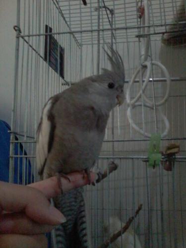 Foto-0836.thumb.jpg.abd0e6a7ab2a034224e9