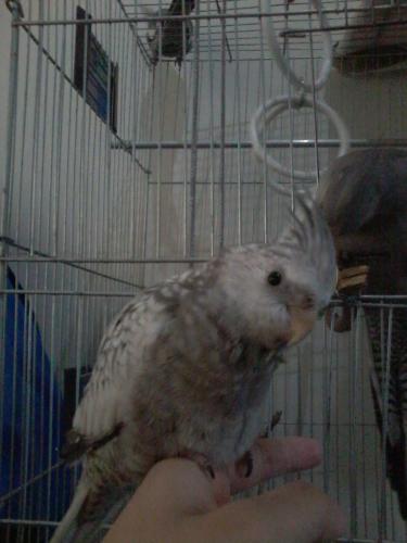 Foto-0841.thumb.jpg.1f4299899fbcde049bef